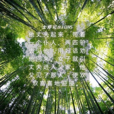 Picture 04 - 士 师 记 19:3 CUVS - 他 丈 夫 起 来 ， 带 着 一 个 仆 人 - Bible Verse Picture