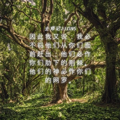 Picture 04 - 士 师 记 2:3 CUVS - 因 此 我 又 说 ： 我 必 不 将 他 们 - Bible Verse Picture