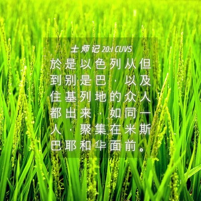 Picture 04 - 士 师 记 20:1 CUVS - 於 是 以 色 列 从 但 到 别 是 巴 ， - Bible Verse Picture