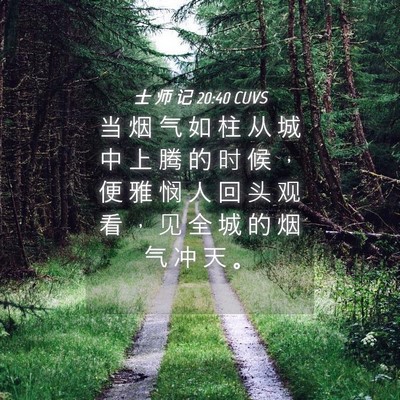 Picture 04 - 士 师 记 20:40 CUVS - 当 烟 气 如 柱 从 城 中 上 腾 的 时 - Bible Verse Picture
