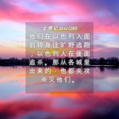 Picture 04 - 士 师 记 20:42 CUVS - 他 们 在 以 色 列 人 面 前 转 身 往 - Bible Verse Picture