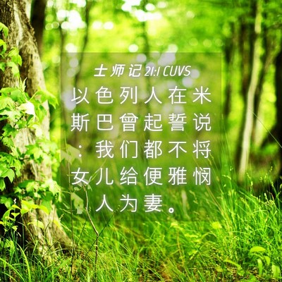Picture 04 - 士 师 记 21:1 CUVS - 以 色 列 人 在 米 斯 巴 曾 起 誓 说 - Bible Verse Picture