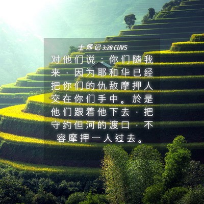 Picture 04 - 士 师 记 3:28 CUVS - 对 他 们 说 ： 你 们 随 我 来 ， 因 - Bible Verse Picture