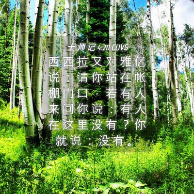 Picture 04 - 士 师 记 4:20 CUVS - 西 西 拉 又 对 雅 亿 说 ： 请 你 站 - Bible Verse Picture