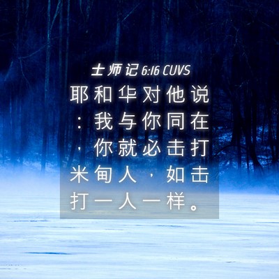 Picture 04 - 士 师 记 6:16 CUVS - 耶 和 华 对 他 说 ： 我 与 你 同 在 - Bible Verse Picture