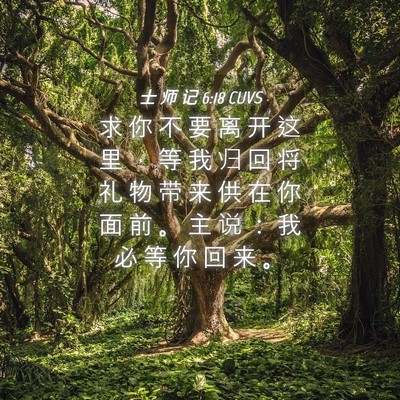 Picture 04 - 士 师 记 6:18 CUVS - 求 你 不 要 离 开 这 里 ， 等 我 归 - Bible Verse Picture