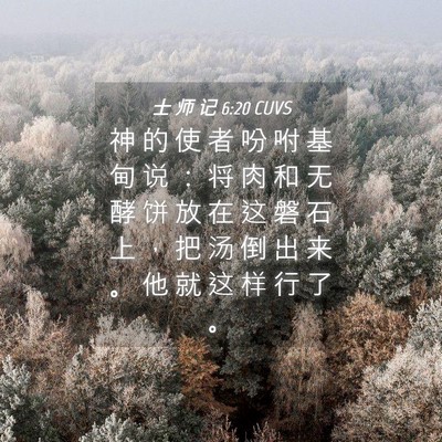 Picture 04 - 士 师 记 6:20 CUVS - 神 的 使 者 吩 咐 基 甸 说 ： 将 肉 - Bible Verse Picture