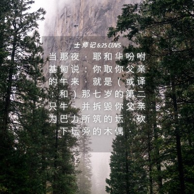 Picture 04 - 士 师 记 6:25 CUVS - 当 那 夜 ， 耶 和 华 吩 咐 基 甸 说 - Bible Verse Picture