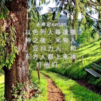 Picture 04 - 士 师 记 6:3 CUVS - 以 色 列 人 每 逢 撒 种 之 後 ， 米 - Bible Verse Picture