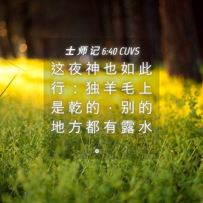 Picture 04 - 士 师 记 6:40 CUVS - 这 夜 神 也 如 此 行 ： 独 羊 毛 上 - Bible Verse Picture