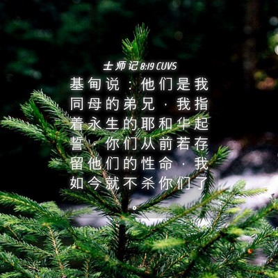 Picture 04 - 士 师 记 8:19 CUVS - 基 甸 说 ： 他 们 是 我 同 母 的 弟 - Bible Verse Picture