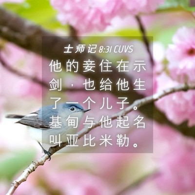 Picture 04 - 士 师 记 8:31 CUVS - 他 的 妾 住 在 示 剑 ， 也 给 他 生 - Bible Verse Picture