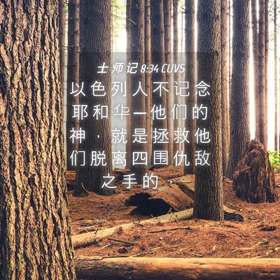 Picture 04 - 士 师 记 8:34 CUVS - 以 色 列 人 不 记 念 耶 和 华 ─ 他 - Bible Verse Picture