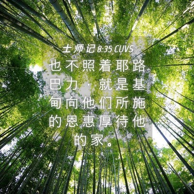 Picture 04 - 士 师 记 8:35 CUVS - 也 不 照 着 耶 路 巴 力 ， 就 是 基 - Bible Verse Picture
