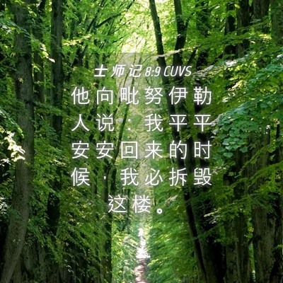 Picture 04 - 士 师 记 8:9 CUVS - 他 向 毗 努 伊 勒 人 说 ： 我 平 平 - Bible Verse Picture
