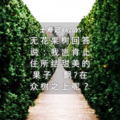 Picture 04 - 士 师 记 9:11 CUVS - 无 花 果 树 回 答 说 ： 我 岂 肯 止 - Bible Verse Picture