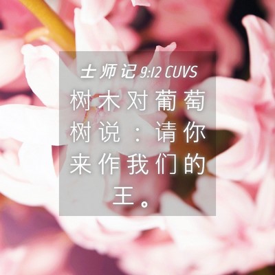 Picture 04 - 士 师 记 9:12 CUVS - 树 木 对 葡 萄 树 说 ： 请 你 来 作 - Bible Verse Picture