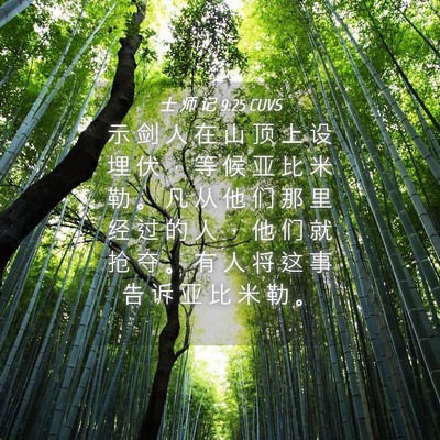 Picture 04 - 士 师 记 9:25 CUVS - 示 剑 人 在 山 顶 上 设 埋 伏 ， 等 - Bible Verse Picture