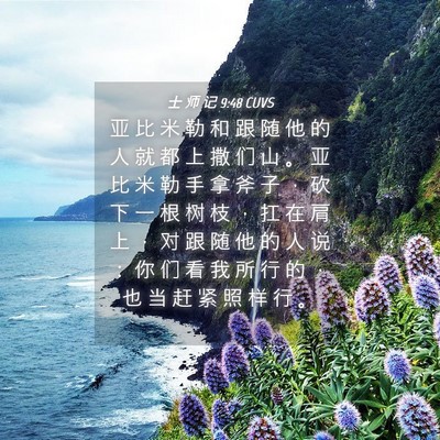 Picture 04 - 士 师 记 9:48 CUVS - 亚 比 米 勒 和 跟 随 他 的 人 就 都 - Bible Verse Picture