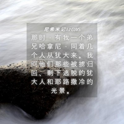 Picture 04 - 尼 希 米 记 1:2 CUVS - 那 时 ， 有 我 一 个 弟 兄 哈 拿 尼 - Bible Verse Picture