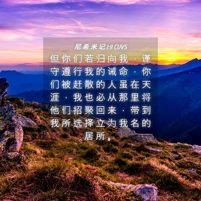Picture 04 - 尼 希 米 记 1:9 CUVS - 但 你 们 若 归 向 我 ， 谨 守 遵 行 - Bible Verse Picture