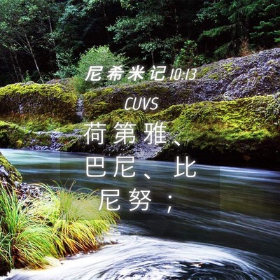 Picture 04 - 尼 希 米 记 10:13 CUVS - 荷 第 雅 、 巴 尼 、 比 尼 努 - Bible Verse Picture
