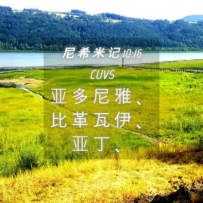 Picture 04 - 尼 希 米 记 10:16 CUVS - 亚 多 尼 雅 、 比 革 瓦 伊 、 亚 丁 - Bible Verse Picture