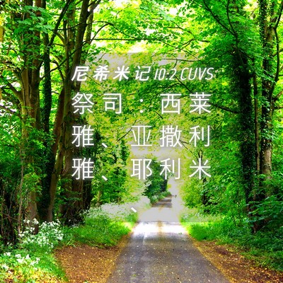 Picture 04 - 尼 希 米 记 10:2 CUVS - 祭 司 ： 西 莱 雅 、 亚 撒 利 雅 、 - Bible Verse Picture
