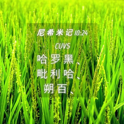 Picture 04 - 尼 希 米 记 10:24 CUVS - 哈 罗 黑 、 毗 利 哈 、 朔 百 - Bible Verse Picture