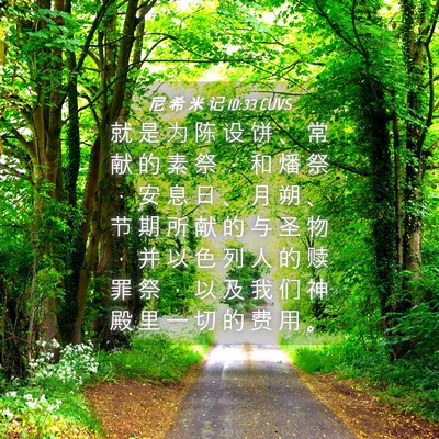 Picture 04 - 尼 希 米 记 10:33 CUVS - 就 是 为 陈 设 饼 、 常 献 的 素 祭 - Bible Verse Picture
