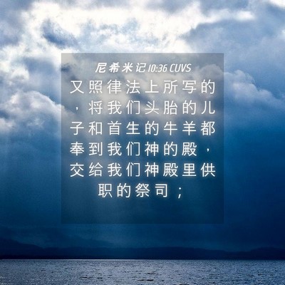 Picture 04 - 尼 希 米 记 10:36 CUVS - 又 照 律 法 上 所 写 的 ， 将 我 们 - Bible Verse Picture