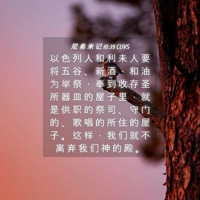 Picture 04 - 尼 希 米 记 10:39 CUVS - 以 色 列 人 和 利 未 人 要 将 五 谷 - Bible Verse Picture
