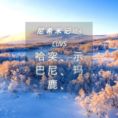 Picture 04 - 尼 希 米 记 10:4 CUVS - 哈 突 、 示 巴 尼 、 玛 鹿 - Bible Verse Picture
