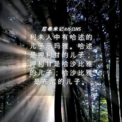 Picture 04 - 尼 希 米 记 11:15 CUVS - 利 未 人 中 有 哈 述 的 儿 子 示 玛 - Bible Verse Picture