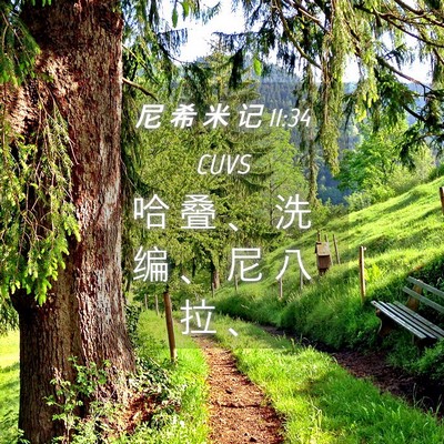 Picture 04 - 尼 希 米 记 11:34 CUVS - 哈 叠 、 洗 编 、 尼 八 拉 - Bible Verse Picture