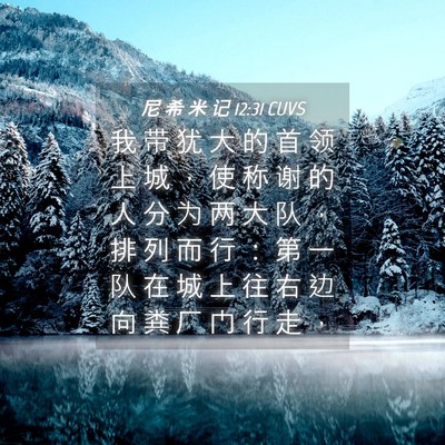 Picture 04 - 尼 希 米 记 12:31 CUVS - 我 带 犹 大 的 首 领 上 城 ， 使 称 - Bible Verse Picture
