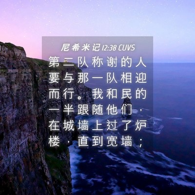 Picture 04 - 尼 希 米 记 12:38 CUVS - 第 二 队 称 谢 的 人 要 与 那 一 队 - Bible Verse Picture