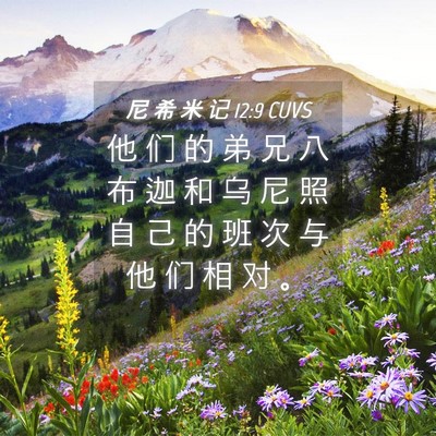 Picture 04 - 尼 希 米 记 12:9 CUVS - 他 们 的 弟 兄 八 布 迦 和 乌 尼 照 - Bible Verse Picture
