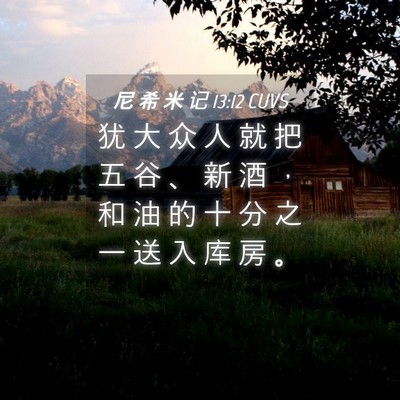 Picture 04 - 尼 希 米 记 13:12 CUVS - 犹 大 众 人 就 把 五 谷 、 新 酒 ， - Bible Verse Picture