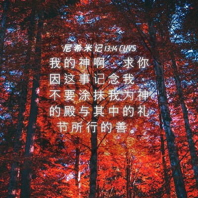 Picture 04 - 尼 希 米 记 13:14 CUVS - 我 的 神 啊 ， 求 你 因 这 事 记 念 - Bible Verse Picture