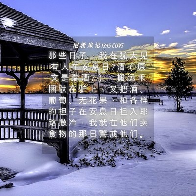 Picture 04 - 尼 希 米 记 13:15 CUVS - 那 些 日 子 ， 我 在 犹 大 见 有 人 - Bible Verse Picture