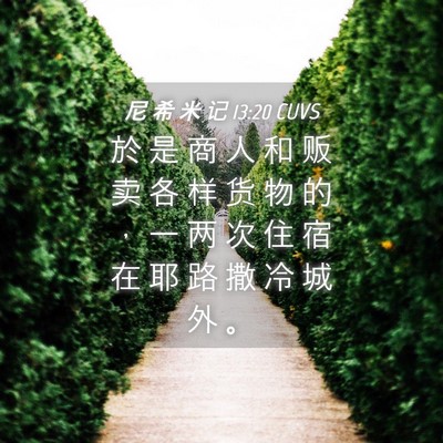 Picture 04 - 尼 希 米 记 13:20 CUVS - 於 是 商 人 和 贩 卖 各 样 货 物 的 - Bible Verse Picture