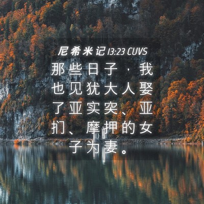 Picture 04 - 尼 希 米 记 13:23 CUVS - 那 些 日 子 ， 我 也 见 犹 大 人 娶 - Bible Verse Picture