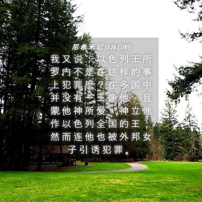 Picture 04 - 尼 希 米 记 13:26 CUVS - 我 又 说 ： 以 色 列 王 所 罗 门 不 - Bible Verse Picture