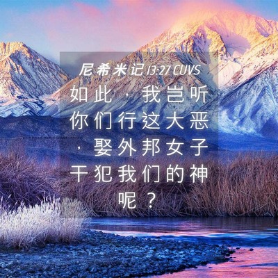 Picture 04 - 尼 希 米 记 13:27 CUVS - 如 此 ， 我 岂 听 你 们 行 这 大 恶 - Bible Verse Picture
