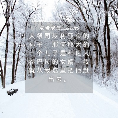 Picture 04 - 尼 希 米 记 13:28 CUVS - 大 祭 司 以 利 亚 实 的 孙 子 、 耶 - Bible Verse Picture
