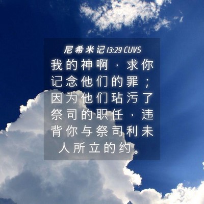 Picture 04 - 尼 希 米 记 13:29 CUVS - 我 的 神 啊 ， 求 你 记 念 他 们 的 - Bible Verse Picture
