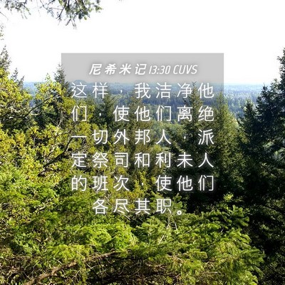 Picture 04 - 尼 希 米 记 13:30 CUVS - 这 样 ， 我 洁 净 他 们 ， 使 他 们 - Bible Verse Picture