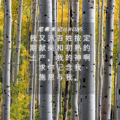 Picture 04 - 尼 希 米 记 13:31 CUVS - 我 又 派 百 姓 按 定 期 献 柴 和 初 - Bible Verse Picture
