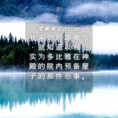 Picture 04 - 尼 希 米 记 13:7 CUVS - 我 来 到 耶 路 撒 冷 ， 就 知 道 以 - Bible Verse Picture